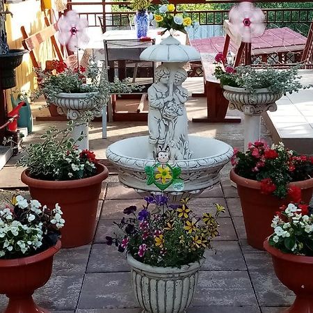 Apartament Casa Voica Turda Zewnętrze zdjęcie
