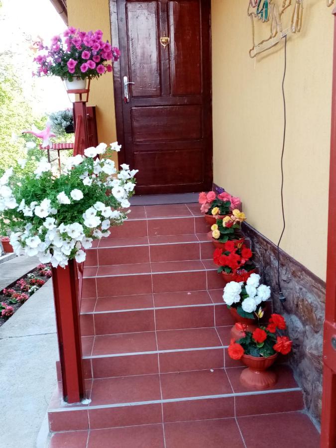 Apartament Casa Voica Turda Zewnętrze zdjęcie