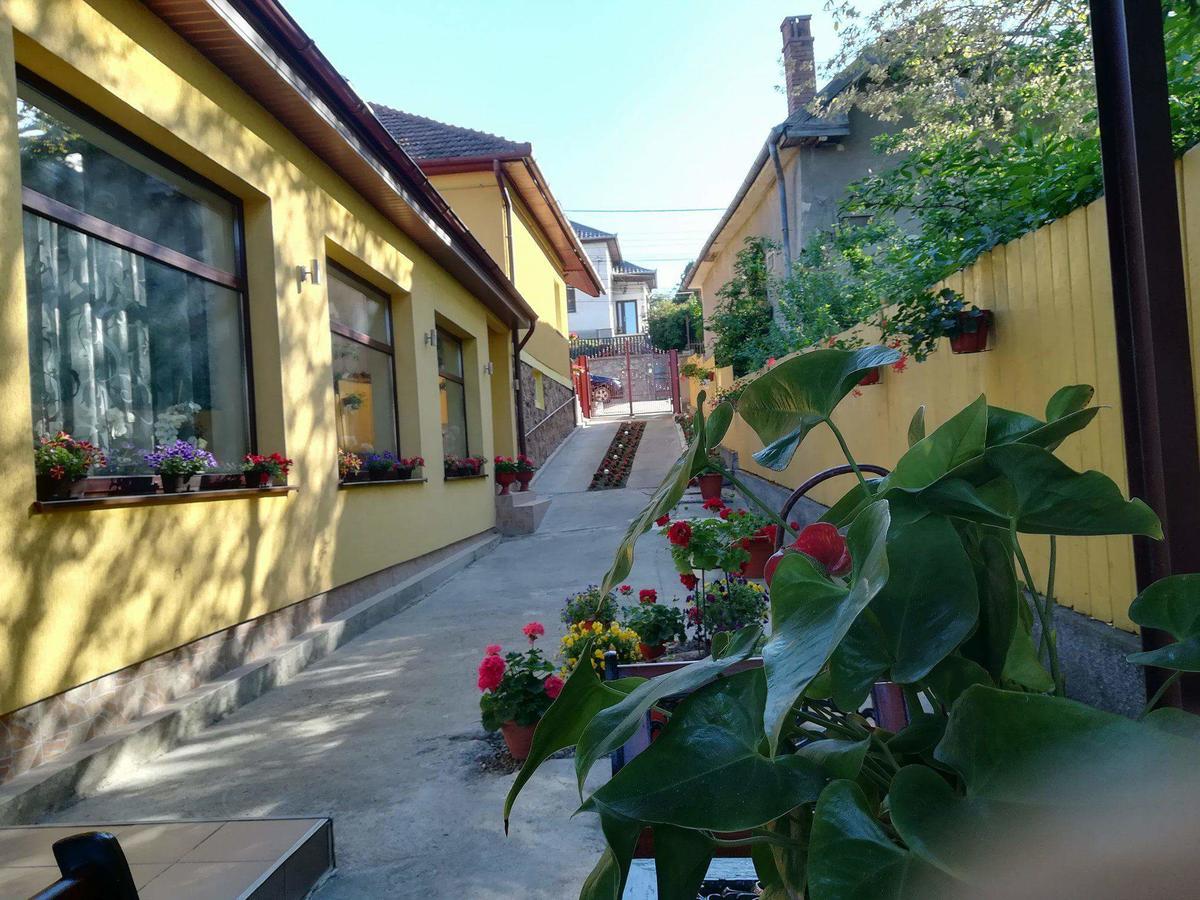 Apartament Casa Voica Turda Zewnętrze zdjęcie