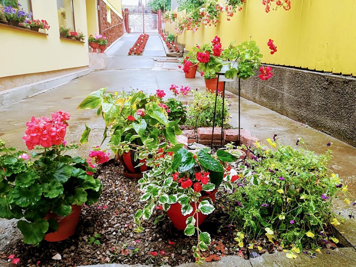 Apartament Casa Voica Turda Zewnętrze zdjęcie