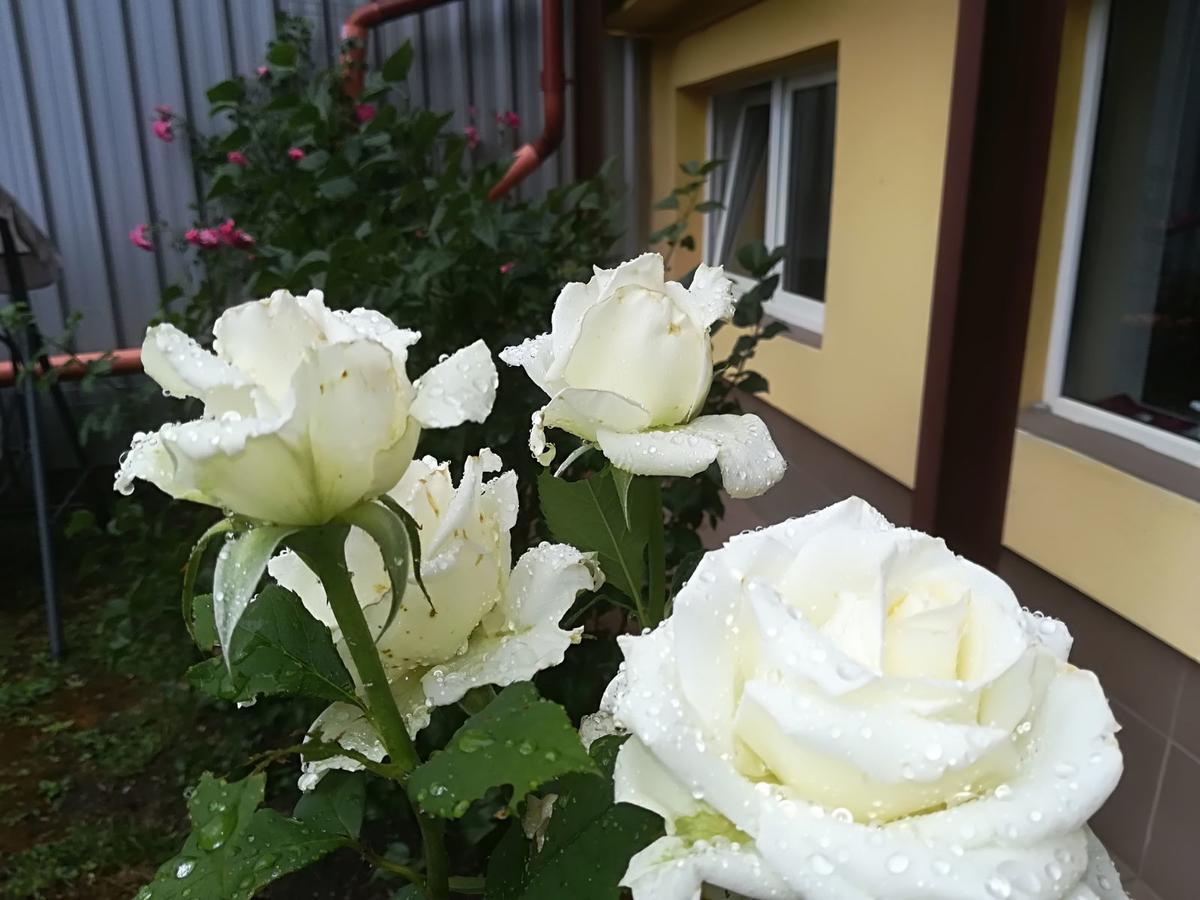 Apartament Casa Voica Turda Zewnętrze zdjęcie